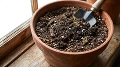 Oživenie pôdy v kvetináči: praktická príručka pre mestské kvetinárstva!