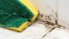 Tento mliečny nápoj okamžite odstraňuje škvrny od plesní.