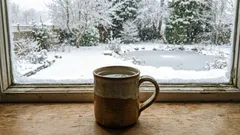 Na parapet sme položili hrnček s vodou: kto vie prečo?