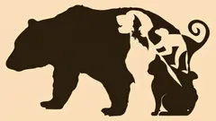 Tento obrazový test vám pomôže určiť, ktoré z vašich najvýraznejších osobnostných čŕt sú pre vás charakteristické a čo vám bráni v interakcii s ostatnými.