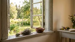 Komáre a komáre vás už nebudú štípať ani vlietať do vášho domu. Jednoduchý trik, o ktorom by mal vedieť každý