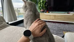 Prečo mačka otáča zadok smerom k tvári svojho majiteľa? Odborný pohľad na toto správanie